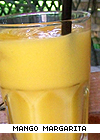Mango Margarita